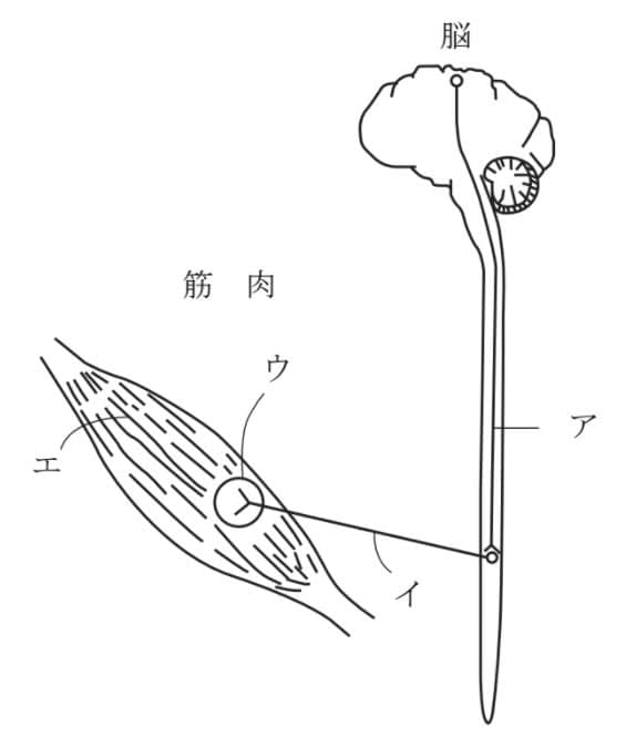 問題画像