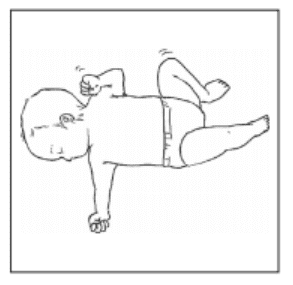 選択肢2画像