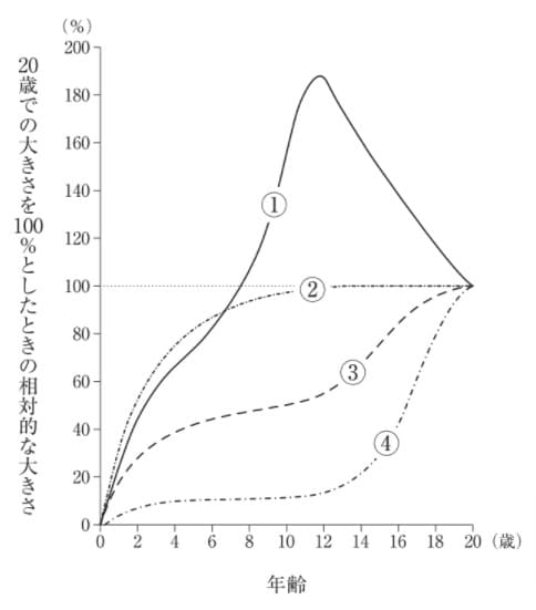 生後から20歳になるまでの器官の発育発達を示した曲線（ Scammon＜スカモン＞の発育発達曲線）を図に示す。胸腺の成長を示すのはどれか。