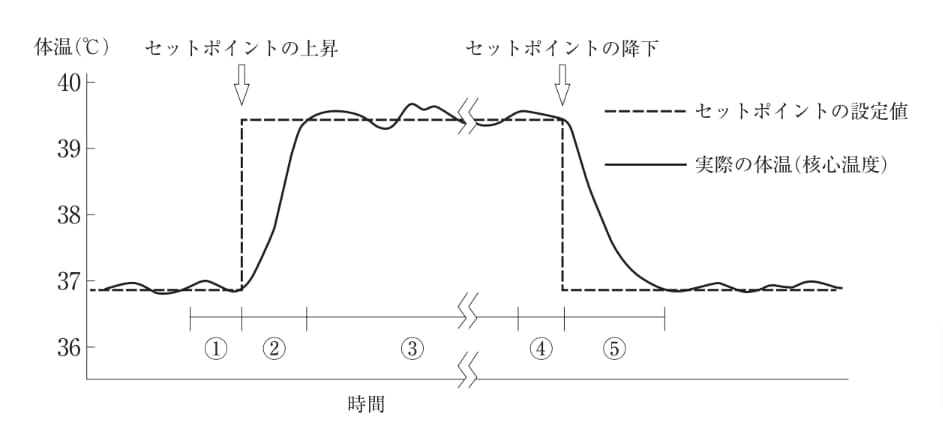 外傷や風邪で発熱し、解熱するまでの体温のセットポイントと実際の体温（核心温度）の変化の例を図に示す。 全身のふるえが起こるのはどれか。